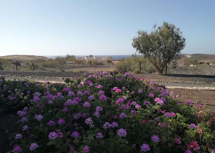 Old King's House Apartamento